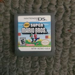 Nintendo Ds Game