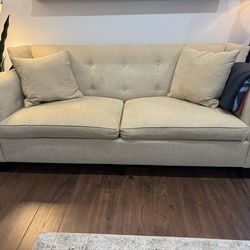 2 sofas + area rug