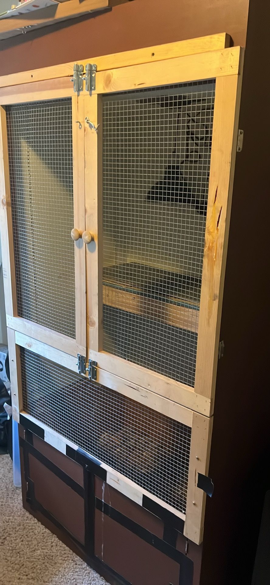 Reptile Enclosure