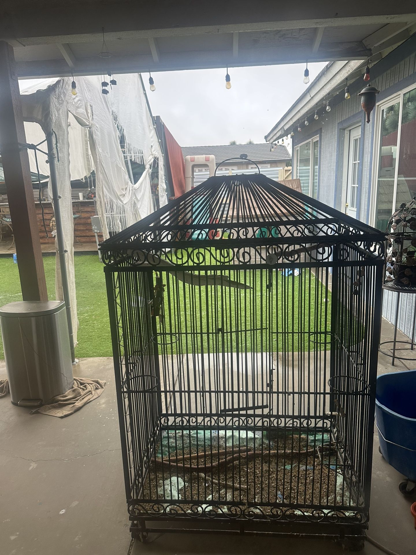 Big Iron Bird Cage!!!