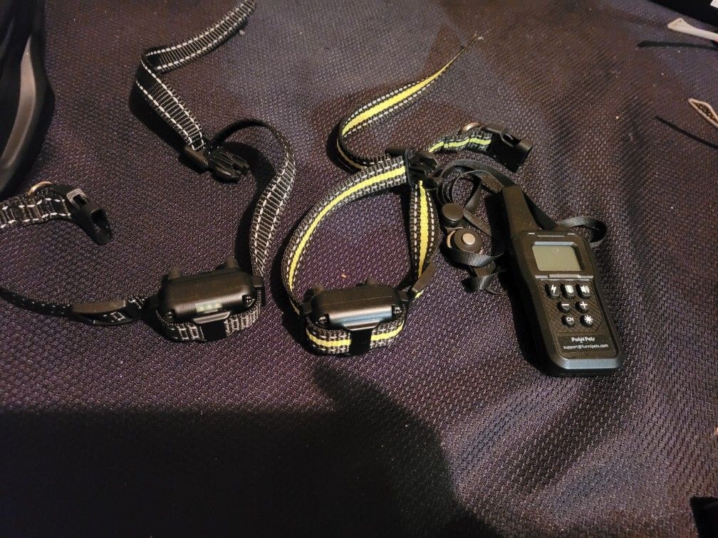 Dog Shock Collars