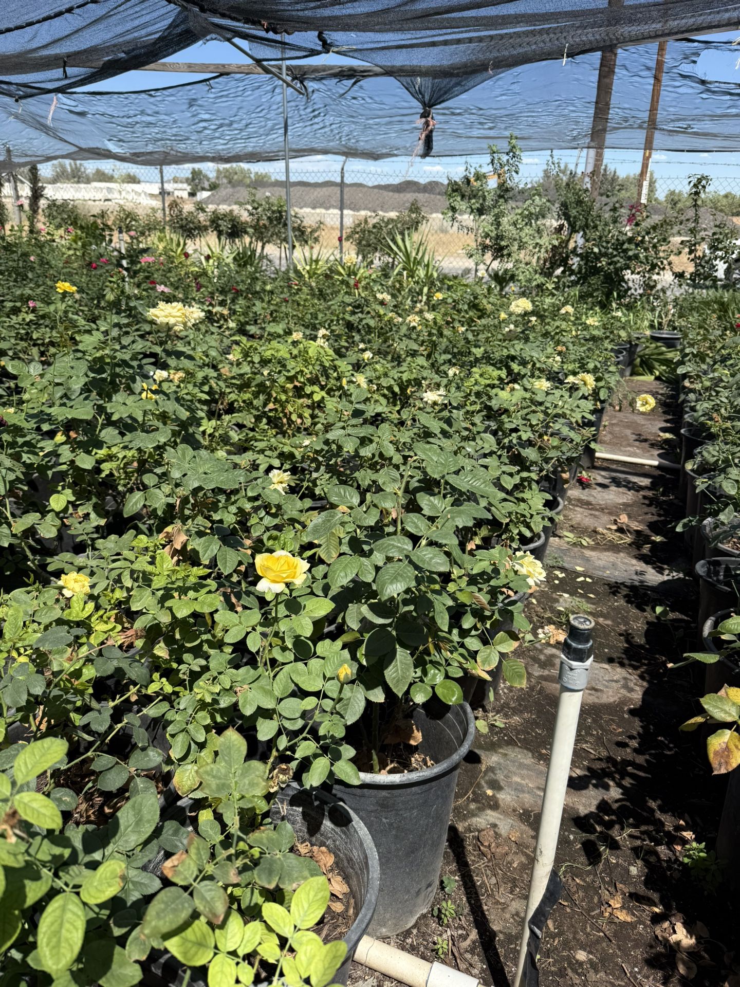 Closing Sale !! 20-50%off