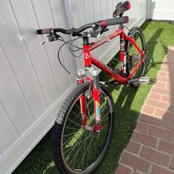 Mens 26” Ttek Mountain Bike