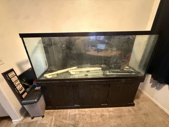 150 gallon tank w/stand etc