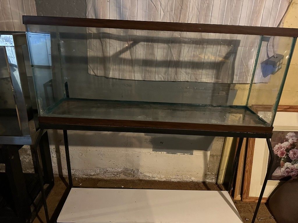 Fish Tanks