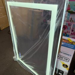 24 in. W × 32 in. H Anti-Fog Dimmable Dual LED Rectangle Frameless Bathroom Mirror