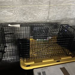Animal Cage 
