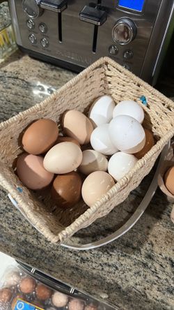 Eggs
