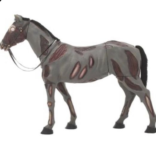 Halloween Huge Zombie Horse Life Size 72” Very Rare