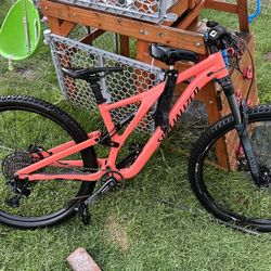 Specialized Stumpjumper