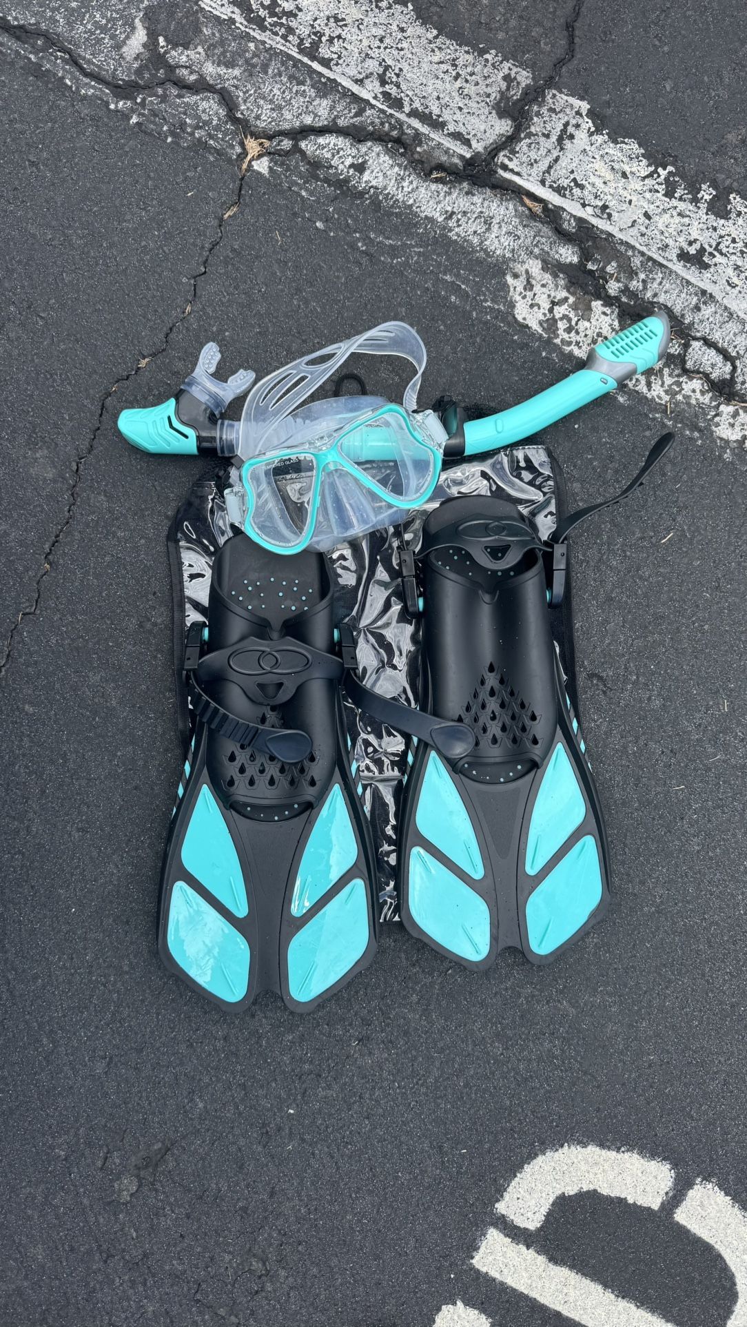 Snorkel Gear