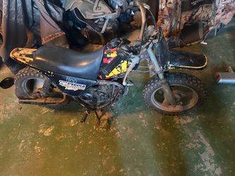 Pw 50