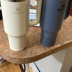 Stanley Tumbler Lot 