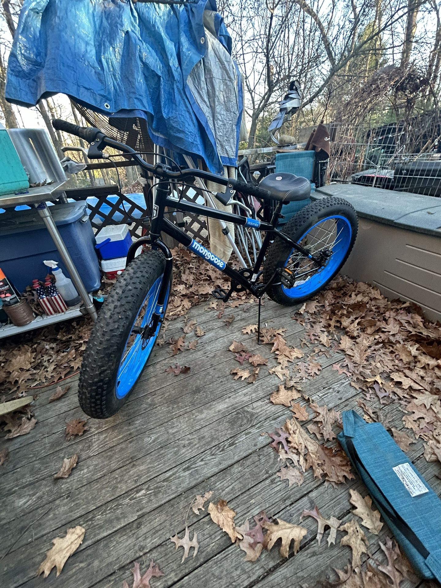 Fat Tire Mongoose