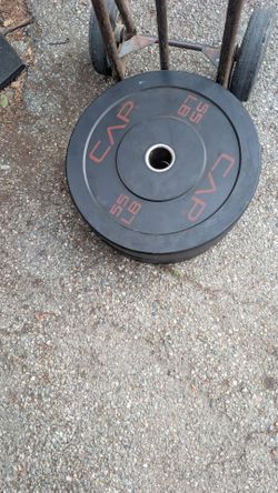Bumper plates 300lbs