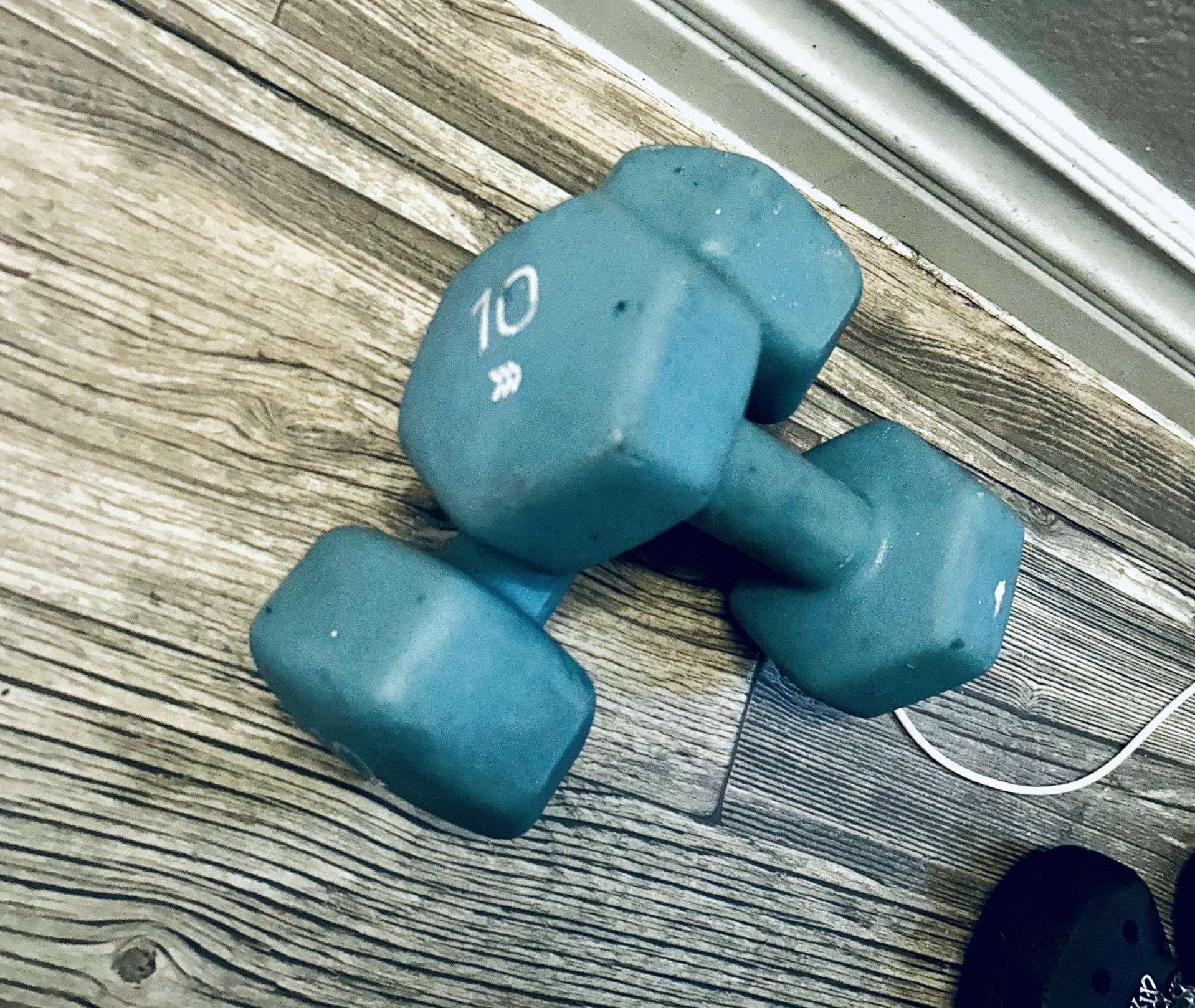 10lbs dumbbell set