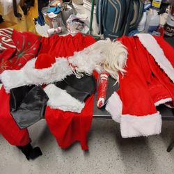 Professional Santa Suit