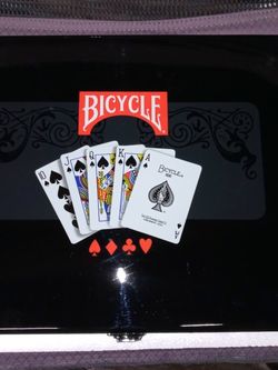 Bicycle Premium, Masters Poker Set