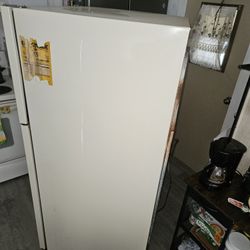 Fridge GE
