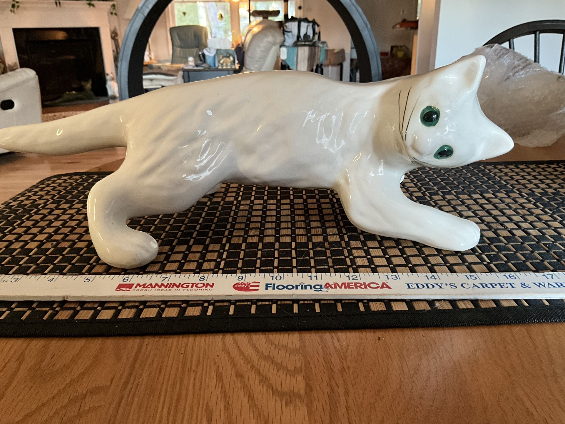 Large White Unmarked Camark Cat