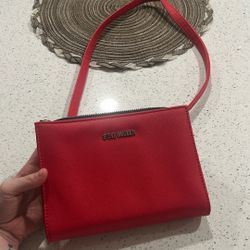 Steve Madden Purse 