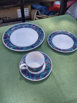 Dinner Plate Set