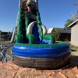 22Ft Jurassic Theme Single Lane Wet/Dry Slide