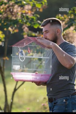 Bird cage