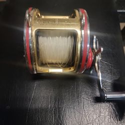 Penn 113 With Narrow Frame 