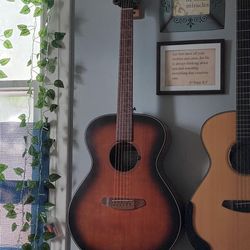 Breedlove Eco Collection Acoustic Guitar 
