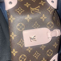 Louis Vuitton New Mini Petite Malle