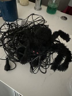 FREE Halloween Decoration Bundle - Spiders, Web & String Lights