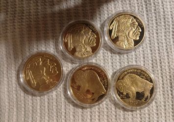 2023 24kt GOLD-PLATED Buffalo Tribute Coin (FIVE) (5)