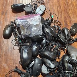 Computer Mouse (×43)