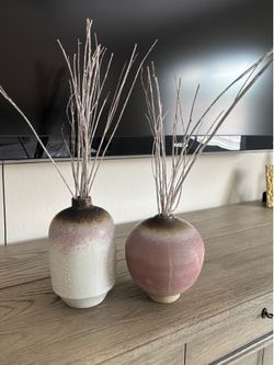 2 Ceramic Vases with Dried Branches