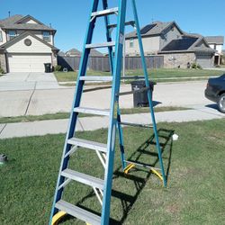 8 Ft Ladder
