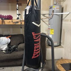 Punching Bag