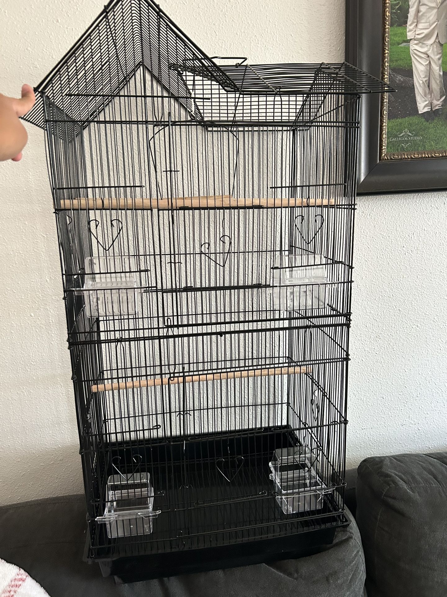 Bird Cage