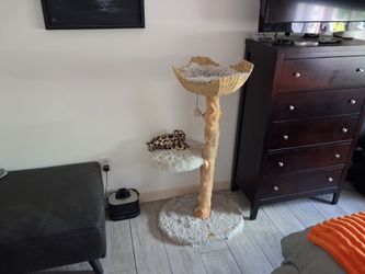 Mau cat tree