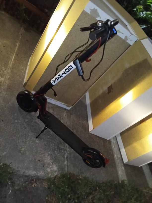 Gotrax Electric Scooter