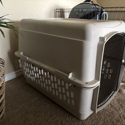  Dog Kennel 