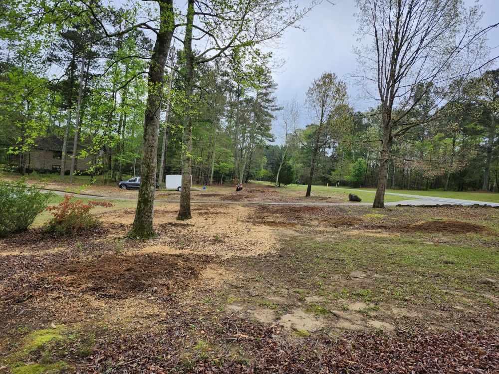 Stump Grinding