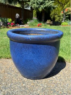 Blue ceramic garden 🪴 planter 12.5"h x 15"w