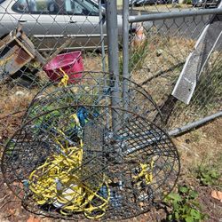 Crab Pot