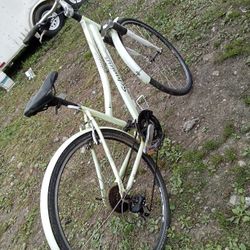Schwinn cruiser with after market rims