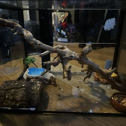 Reptile Enclosure 