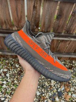 Adidas Yeezy Boost 350 V2 Carbon Beluga (Size 10.5)