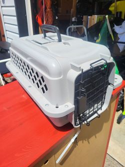 Kitty carrier