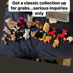 Beanie Baby Collection 