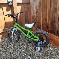 A+ NEW JOEY  14" HOPPER CHILD'S BIKE WITH TRAINING WHEELS  And Ready For Adventure!